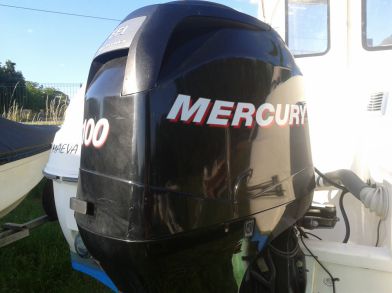 moteur mercury 100 cv occasion