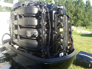 mercury 100 elpt EFI
