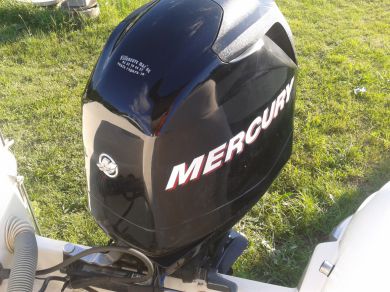 moteur hors bord 100 cv occasion