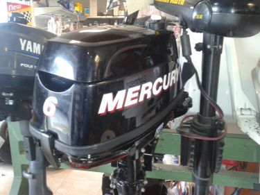 moteur mercury 6 cv occasion