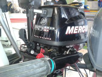 moteur hors bord 6 cv occasion