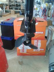 moteur mercury 6 cv occasion