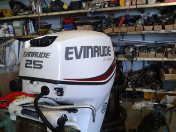 moteur evinrude 25 cv occasion