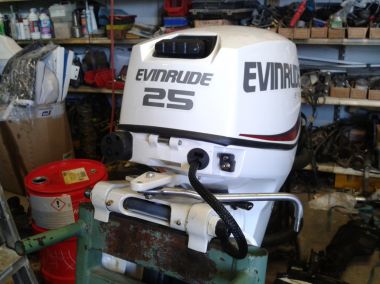 moteur evinrude 25 cv occasion