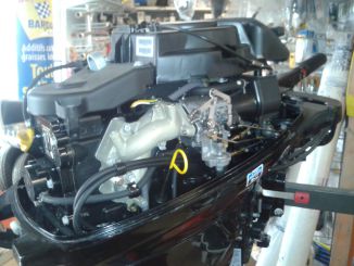 moteur mariner 15 cv occasion