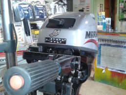 moteur mariner 15 cv occasion