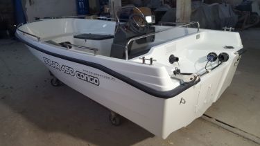 solarsky 450 fish
