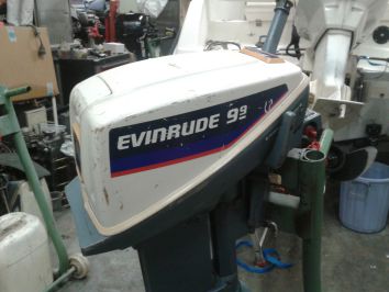 moteur evinrude 9.9 cv occasion
