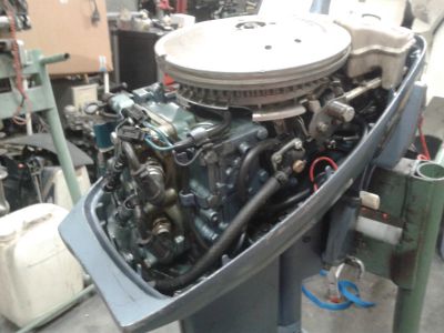 evinrude occasion 9.9 cv