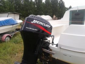 bateau quicksilver 425 cabine+40 cv occasion