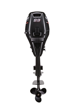 suzuki DF 9.9 commande a distance