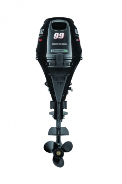 suzuki DF 9.9B commande a distance